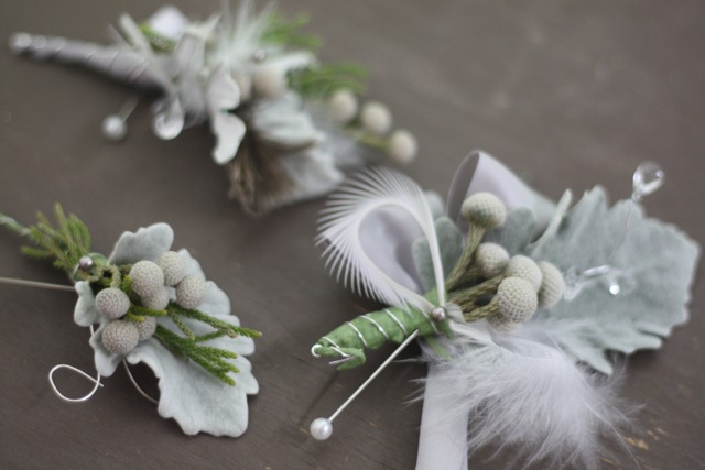 [dusty-miller-silver-berry-silver-wir[2].jpg]